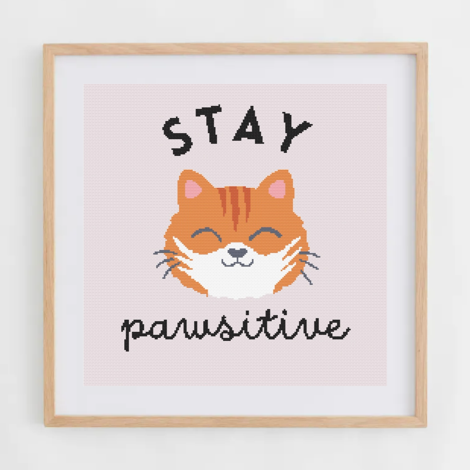 Chats Avec Jeux de Mots